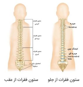 spinal